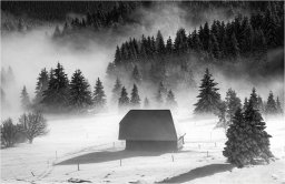 13 01 2008 croix du berger 10 noir et blanc